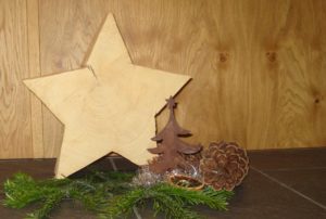 Weihnachtsstern Immobilien Auer
